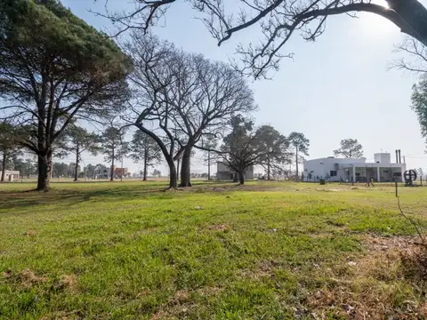 Terreno en Venta de 600,0 m2