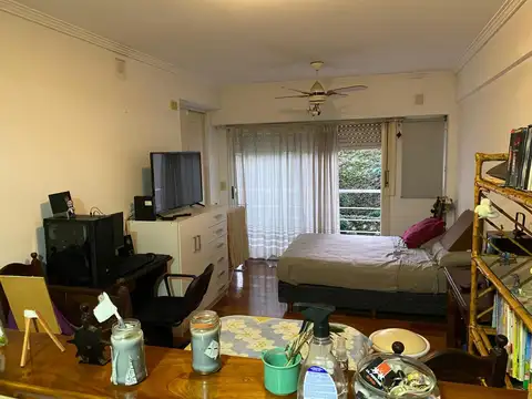 Monoambiente  Balcón Vista abierta Flores