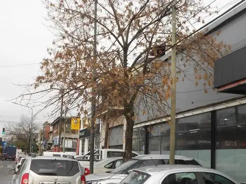 Espectacular Local 650m² en Villa Martelli | Pleno Centro Co