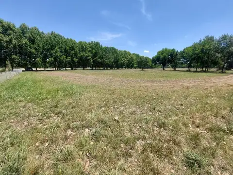 Terreno en Venta 55  mts Fondo