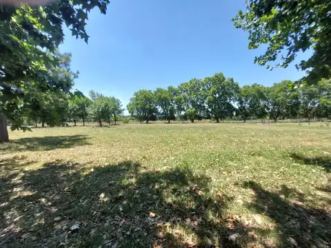 Castex km 9.5 (Ex Ruta 52)  o Au Bs As Cañuelas ruto 205 Km 47.5 Canning