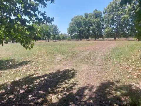 Castex km 9.5 (Ex Ruta 52)  o Au Bs As Cañuelas ruto 205 Km 47.5 Canning