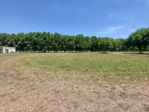 Terreno en Venta 43  mts Frente