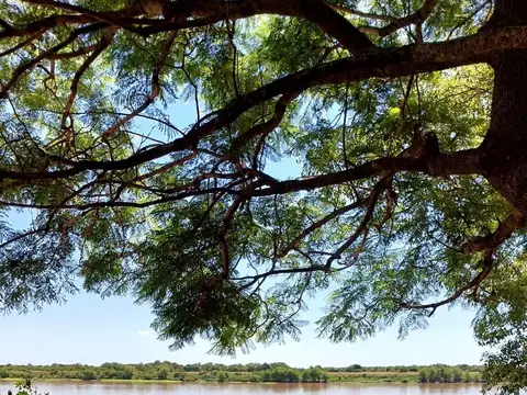 Terreno en Venta 24  mts Fondo