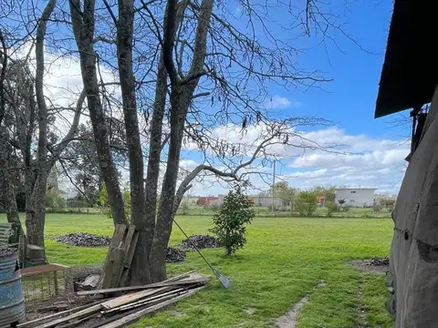 Labarden 3900