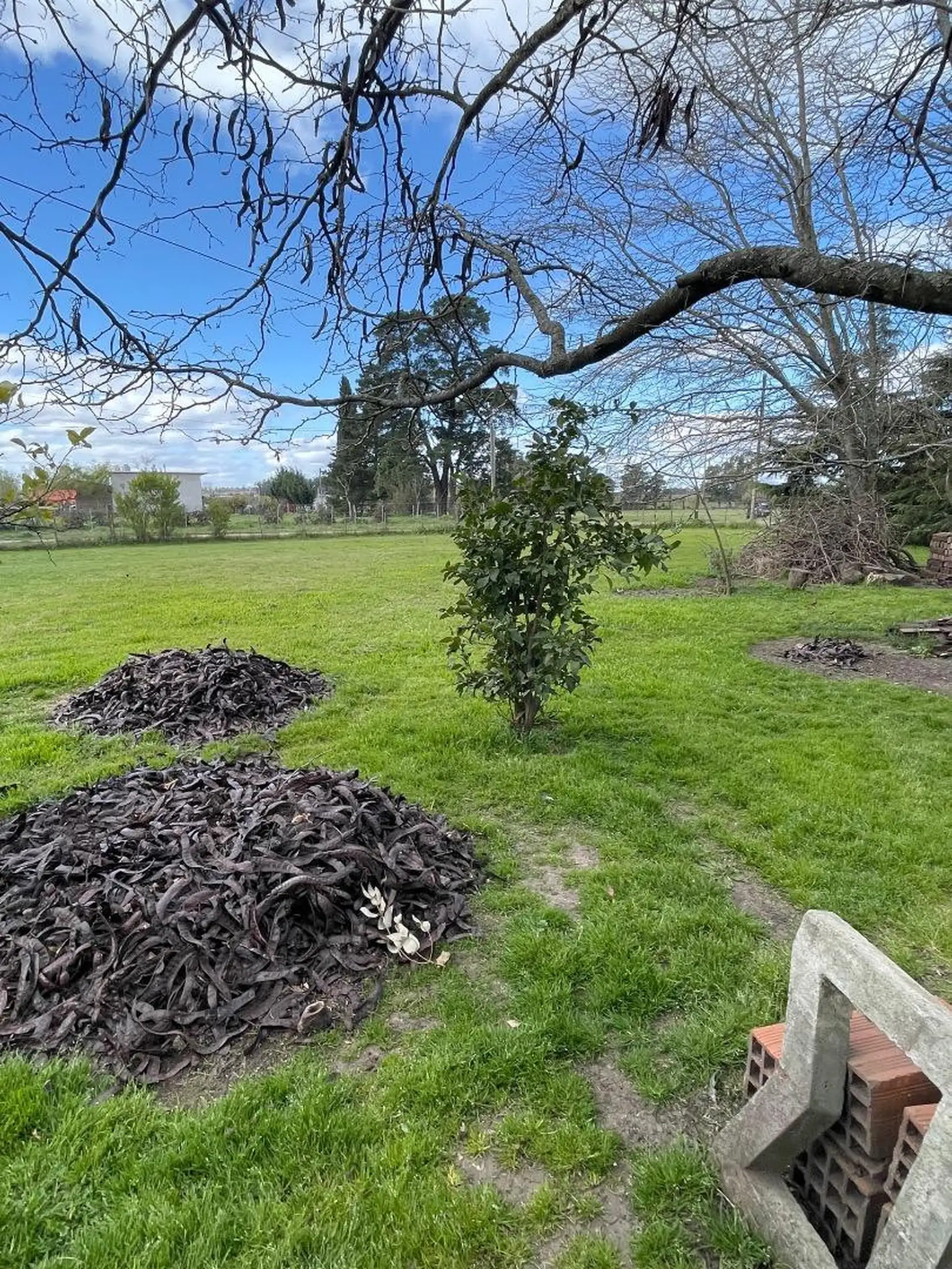 quinta en Tandil de 2700m2 con molino t tanque australiano