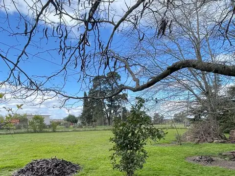 Quinta en Venta en Tandil, USD 70.000