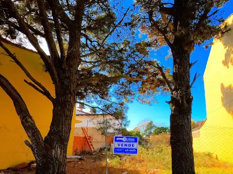 Terreno en Venta de 300,0 m2