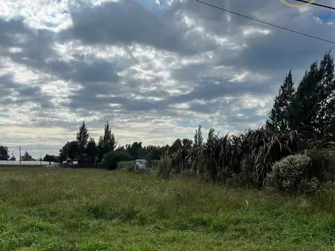 Terreno en Lisandro Olmos Etcheverry