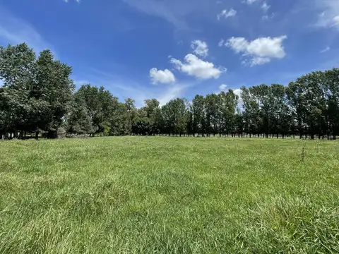 Venta - Terreno - San Miguel del Monte - Chacras de Abbott - 11.000m2