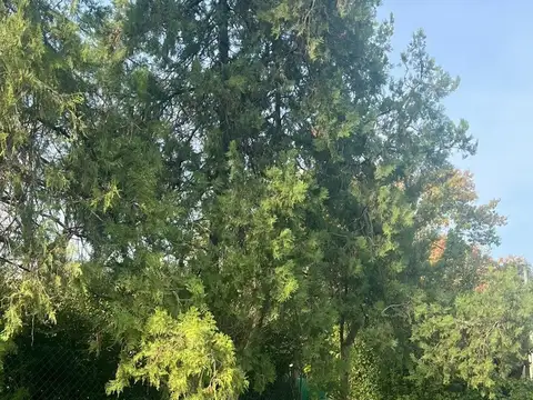 Casa en Venta 3 años