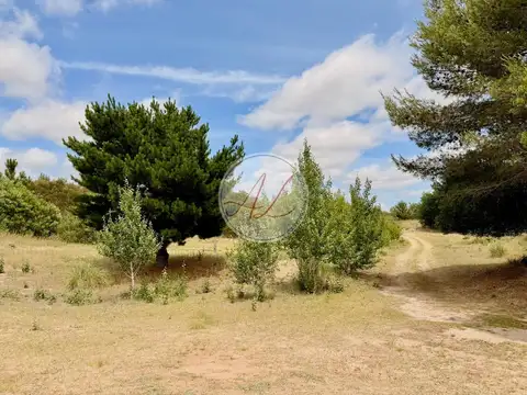 Campo en Venta de 3  ha