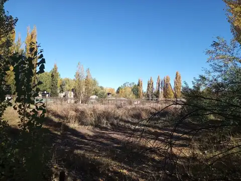 Hectárea en venta 9.600m2 en Plottier