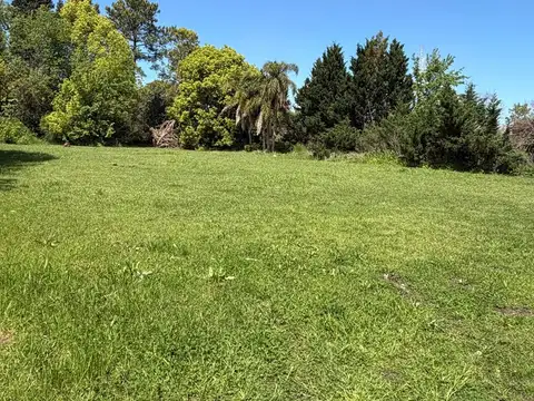 Highland park 100