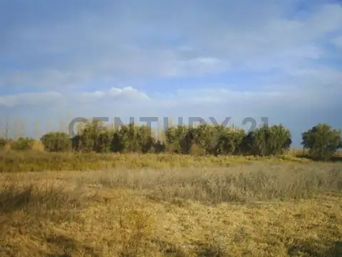 Venta de Lote. Corralitos. Guaymallen.