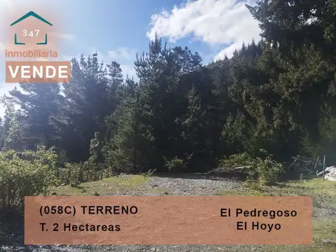 (058C) EL HOYO (El Pedregoso) Terreno en condominio de 2Has