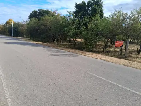 LOTE ESQUINA SOBRE ASFALTO EN PIEDRA BLANCA ABAJO U$D 30.000