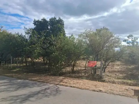 Av. Fermín Romero