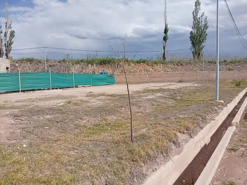 CRUZ VIDELA M A CASA 12