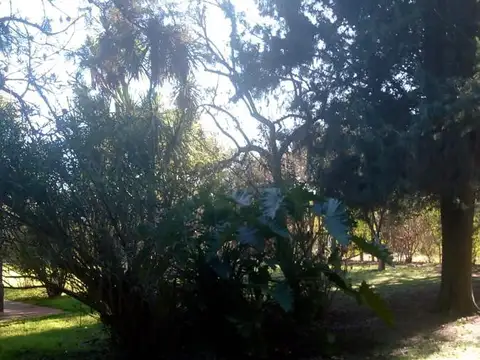 Quinta en Venta en Cañuelas, USD 150.000