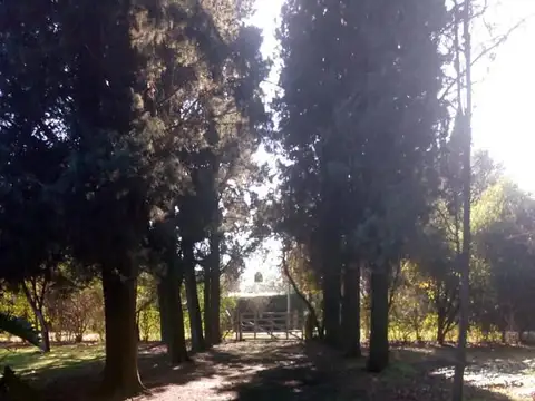 Quinta de 3 ambientes en venta en Los Pozos - Cañuelas