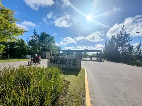 Barrio Norte - El Cazador