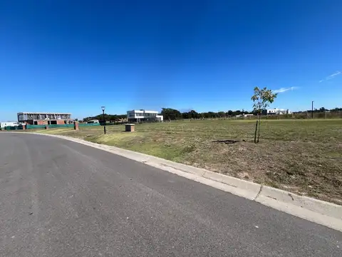 Terreno en Village Plaza, Bella Vista
