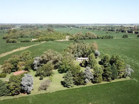 Campo en Venta de 60  ha