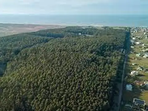 Ruta 11 400, Piso 0
