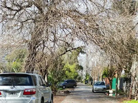 Terreno en Venta 14  mts Frente