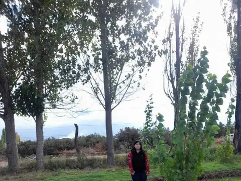 Terreno en Venta de 500,0 m2
