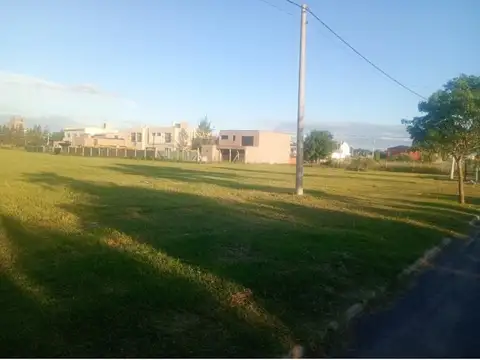 El Almendro 2000