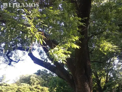Excelente Lote en La Horqueta.