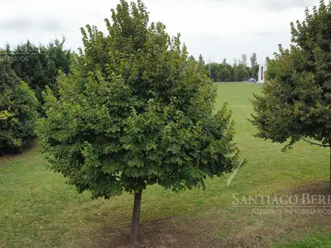 Terreno EN VENTA CHACRAS DE LA RESERVA DE RIO LUJAN - LOS CARDALES