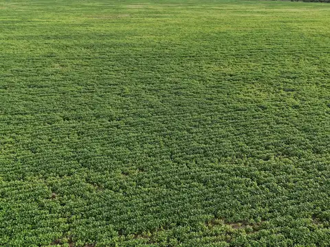 Campo en Venta con Alambrado
