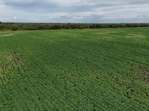 Campo en Venta con Alambrado