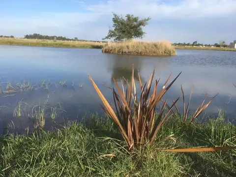 Terreno en Venta de 300,0 m2