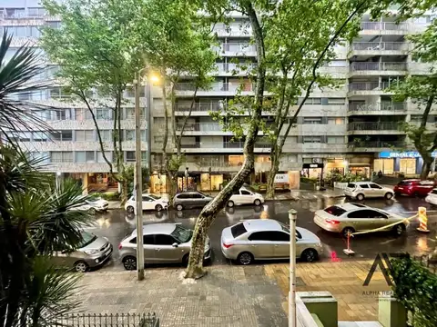 Gabriel Pereira 1200