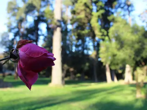 Terreno en Venta en Del Viso, USD 30.000