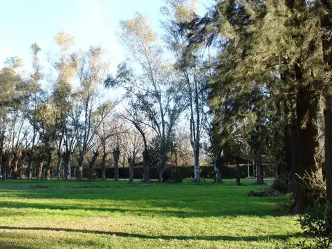 LOTES EN VENTA TORTUGAS 3 DEL VISO