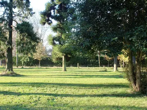 LOTES EN VENTA TORTUGAS 3 DEL VISO