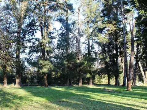 Terreno en Venta de 268,0 m2