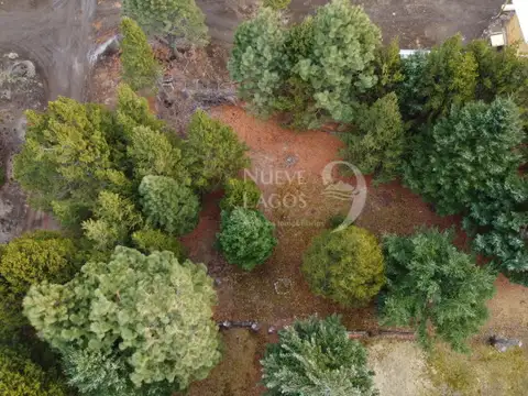 Terreno en Venta en Meliquina, USD 75.000