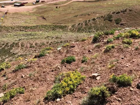 Terreno en Venta en Puente del Inca, USD 1.500.000