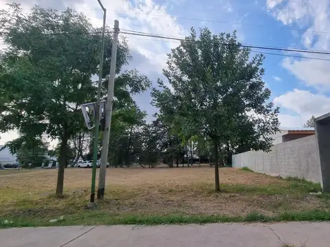 Terreno en Venta 25  mts Fondo