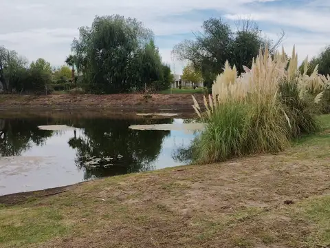 Terreno en Venta de 782,0 m2