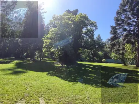 Terreno en Venta 50  mts Fondo