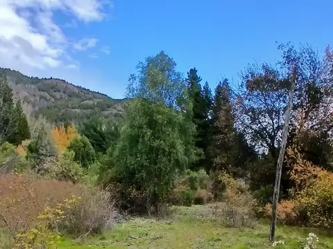 Chacra en Ruta 40 Norte