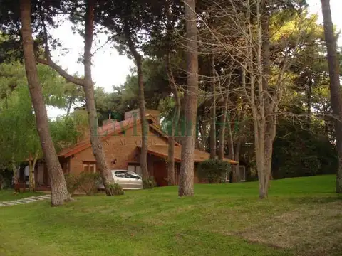 Penelope Norte 600