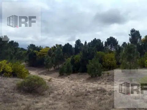 Costa Esmeralda Road